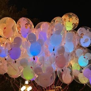 Meet your Posher, Bella